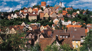 Real Estate Management Services